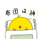 半生ぴよさん（個別スタンプ：24）