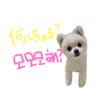 みんなのモモりん（個別スタンプ：2）