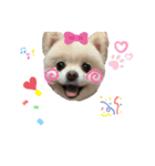 みんなのモモりん（個別スタンプ：3）