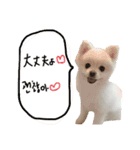 みんなのモモりん（個別スタンプ：4）