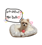 みんなのモモりん（個別スタンプ：6）