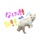 みんなのモモりん（個別スタンプ：8）