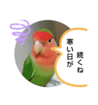 kawafamily桜と椿（個別スタンプ：1）
