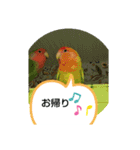 kawafamily桜と椿（個別スタンプ：15）