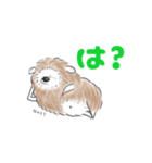 ハリネズミの本音と建前（関西弁）（個別スタンプ：1）