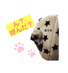 パグのぱんく（個別スタンプ：2）