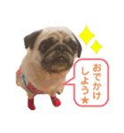 パグのぱんく（個別スタンプ：14）
