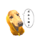 サンとアユ（個別スタンプ：2）