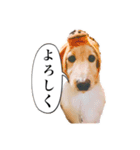 サンとアユ（個別スタンプ：8）