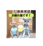 こすなすたんぷ（個別スタンプ：1）