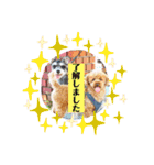 こすなすたんぷ（個別スタンプ：2）