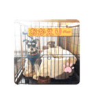こすなすたんぷ（個別スタンプ：3）