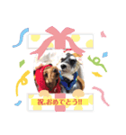 こすなすたんぷ（個別スタンプ：17）