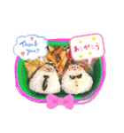 お弁当スタンプ1（個別スタンプ：2）