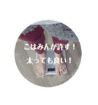 こはみんが許すスタンプ（個別スタンプ：3）