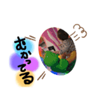 カイリーン3（個別スタンプ：11）