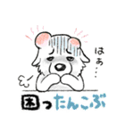 大きな白い犬 ピレネー犬 4【ダジャレ】改（個別スタンプ：20）