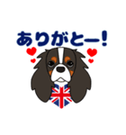 キャバリア ロンドン 2（個別スタンプ：1）