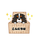 キャバリア ロンドン 2（個別スタンプ：4）