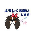キャバリア ロンドン 2（個別スタンプ：9）