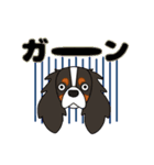 キャバリア ロンドン 2（個別スタンプ：10）