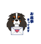キャバリア ロンドン 2（個別スタンプ：12）