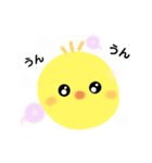 まめヒヨコ（個別スタンプ：1）