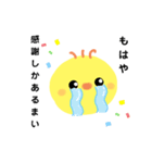 まめヒヨコ（個別スタンプ：4）