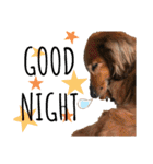 犬＆ベイビー（個別スタンプ：5）