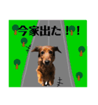 犬＆ベイビー（個別スタンプ：8）