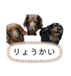 犬＆ベイビー（個別スタンプ：26）