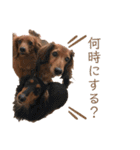 犬＆ベイビー（個別スタンプ：31）