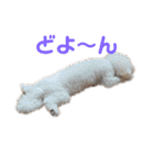 完全版 ドリーとベスの毎日（個別スタンプ：2）