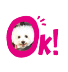 完全版 ドリーとベスの毎日（個別スタンプ：6）