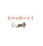 完全版 ドリーとベスの毎日（個別スタンプ：10）