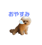 完全版 ドリーとベスの毎日（個別スタンプ：13）