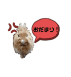 完全版 ドリーとベスの毎日（個別スタンプ：18）