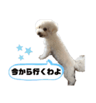 完全版 ドリーとベスの毎日（個別スタンプ：28）