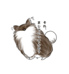 ティルとんとん（個別スタンプ：1）