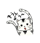 クルクル 4 [ にゃんにゃん2 ]（個別スタンプ：18）