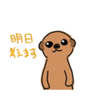 無表情なアルパカ（個別スタンプ：24）