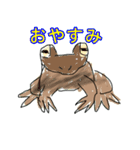 カエルだらけ（個別スタンプ：15）