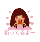 ミーさんとマーさん 5（個別スタンプ：12）