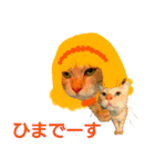ミーさんとマーさん 5（個別スタンプ：21）