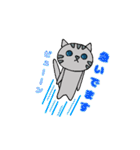 ねこのコン。1（個別スタンプ：5）