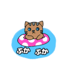 ねこのコン。1（個別スタンプ：36）