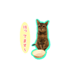 茶様スタンプ（個別スタンプ：10）