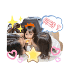 橋田NO2（個別スタンプ：7）
