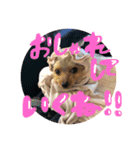 バーディちゃん（個別スタンプ：11）