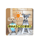 なすびすたんぷ①（個別スタンプ：1）